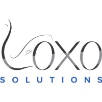 Loxo Solutions Ltd logo - Similar company to Cogent Blue