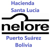 Hacienda Santa Lucia Puerto Suárez Bolivia logo - Similar company to Transferpix Bolivia