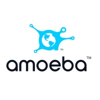 Amoeba Technology Solutions logo - Similar company to Cyber Pioneers, Inc