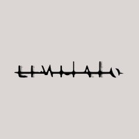 Limitato logo - Similar company to I Dig Denim