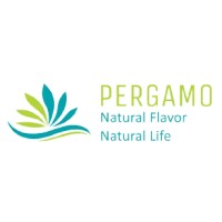 Pergamo logo - Similar company to Softcounts