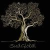 SudGlobal logo - Similar company to Gemini Tech