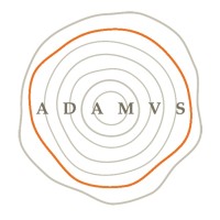 ADAMVS logo - Similar company to Motopark Maroc