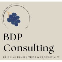 BDP CONSULTING logo - Similar company to Bdp Web Consulting