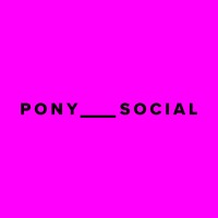 Pony Social Inc logo - Similar company to Two Dog Studios