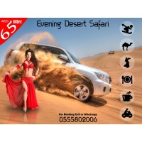 Desert Safari Dubai logo - Similar company to Sentineli