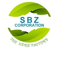 SBZ Corporation logo - Similar company to Ehs Solutions-Pvt