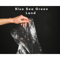 Blue Sea Inc