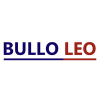 BulloLeo logo - Similar company to Sonnitech