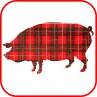 Plaid Pig Public Relations