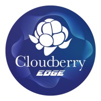 CLOUDBERRY GROUP logo - Similar company to Cloudberry