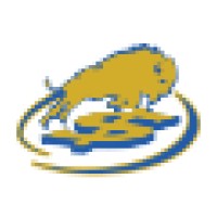 Buffalo First Wealth Management logo - Similar company to Pomarium