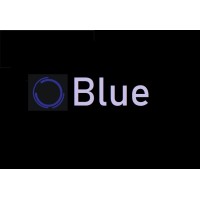 Blue Financial logo - Similar company to Traigo