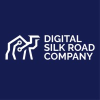 Digital Silk Road Company logo - Similar company to Zerde Business Solutions