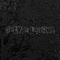 Silver League logo - Similar company to Unsound Rags