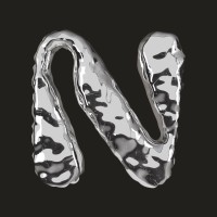 N.Work logo - Similar company to Garno.Tech