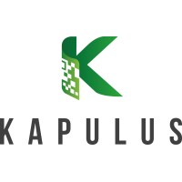 KAPULUS INTERNATIONAL logo - Similar company to E Production Services