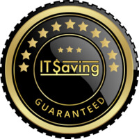 IT Saving logo - Similar company to Dynamics Guru