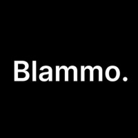 Blammo.eu logo - Similar company to Primary