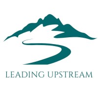 Leading Upstream Consulting