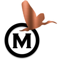 INNOVATIVE MATTERS logo - Similar company to Innovation Matters