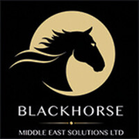 Blackhorse Middle East Solutions Ltd. logo - Similar company to Scrab.Com