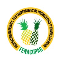 Fédération Nationale des Coopératives de Producteurs d'Ananas du Bénin logo - Similar company to Uirec (Coop-Ca Uirec)