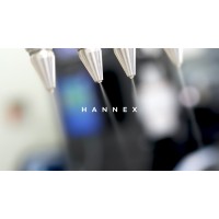 HANNEX Industrial Painting logo - Similar company to Optimumpoints Group