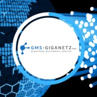 GMS - Giganetz GmbH logo - Similar company to 3 D Statistical Learning
