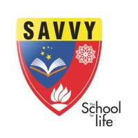 The Savvy School Chichawatni logo - Similar company to Consultoria Marketing
