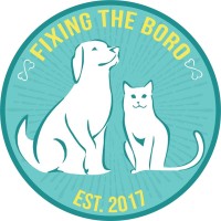 Fixing The Boro logo - Similar company to Pusher Intakes