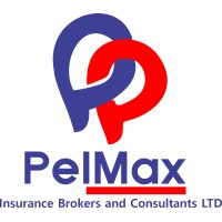 Pelmax Insurance Brokers and Consultants Limited logo - Similar company to Risk Management & Advisory Services Ltd
