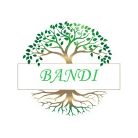 Bandi Agro Industries Private Limited logo - Similar company to Cellulose Solutions
