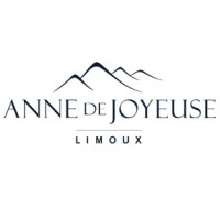 Anne de Joyeuse logo - Similar company to Sieur D'Arques