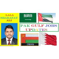 Pak Gulf Jobs Updates logo - Similar company to Ali Abbas