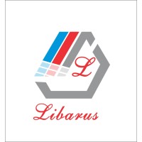 Ceilings Systems Limited logo - Similar company to Architectural Tiles Solutions Sl