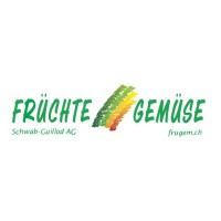 Schwab-Guillod AG logo - Similar company to Spavetti Ag