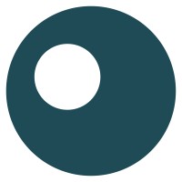 Digital Chameleon logo - Similar company to Digitalchameleon.Ai