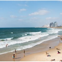 Consulting by VonBingen logo - Similar company to Relyt Ai