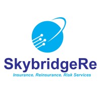 Skybridge Re logo - Similar company to Global Ignition Financial Solutions (Pty) Ltd