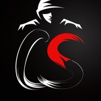 CyberSpace logo - Similar company to Cyberspace