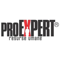 PRO EXPERT logo - Similar company to Talented In Paris - Tip