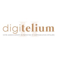 Digitelium logo - Similar company to Decostock