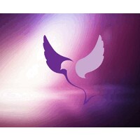 SF EDENIA logo - Similar company to 100Tash Communication