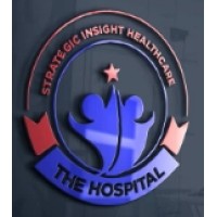 Strategic Insight Healthcare logo - Similar company to The Diagnostic Centre