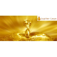 Jupiter Leys Pvt Ltd logo - Similar company to Davco Indo Industri