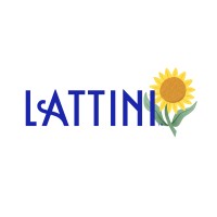 Lattini logo - Similar company to Pkn