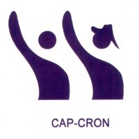 CAP-CRON logo - Similar company to Sxc Collabrains