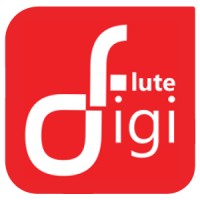 DigiFlute Media Labs logo - Similar company to Engineers Passion