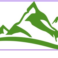 Zenwarriors Psychotherapy logo - Similar company to Edu Abroad Hub